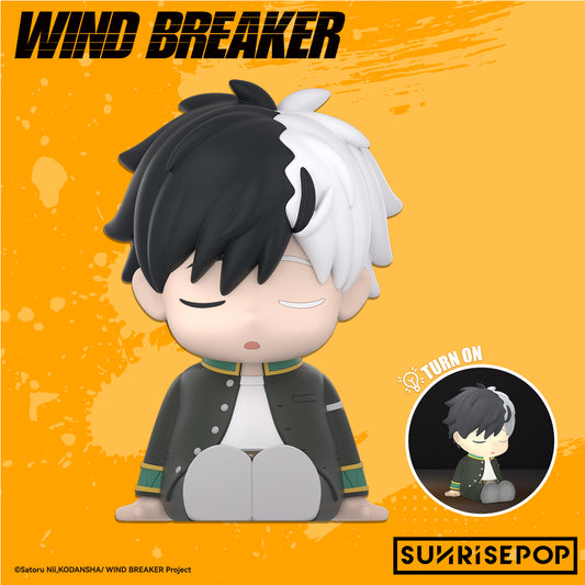 Wind Breaker - Night Light - Sakura